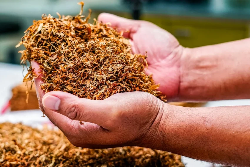 Растение-детектор: биосенсор меняет цвет, обнаружив опасный пестицид