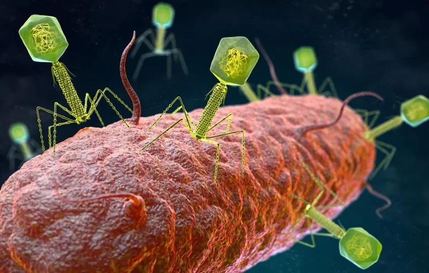 Бактерии нарушили главную догму биологии, создавая новые гены