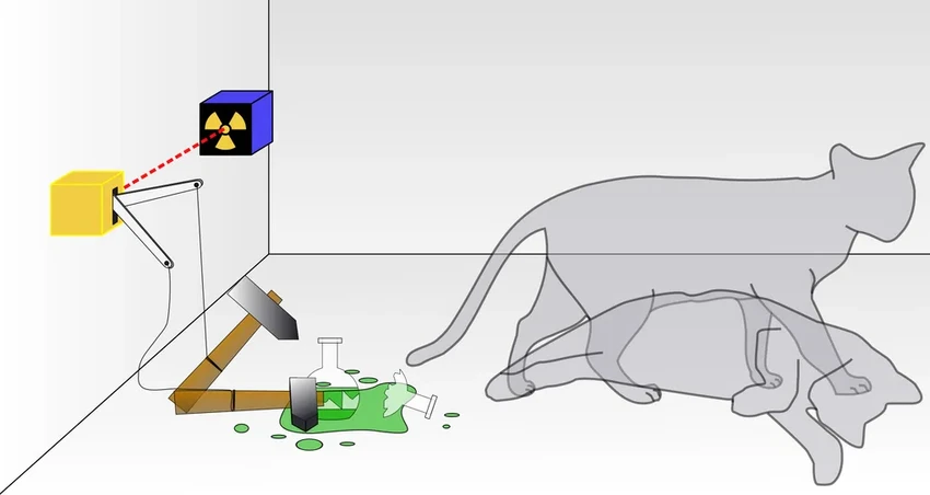 Как кот Шрёдингера победил демона Лапласа: история одного научного спора