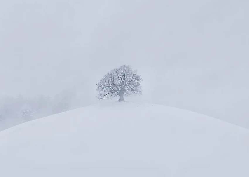 Окситоцин против одиночества: может ли «гормон объятий» притупить боль?