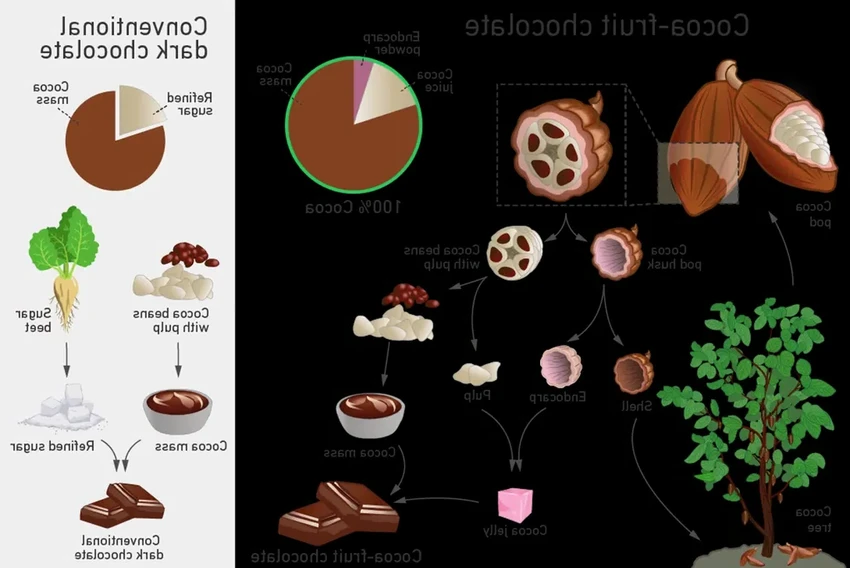 Новый шоколад из отходов какао-фрукта: полезнее, слаще и экологичнее