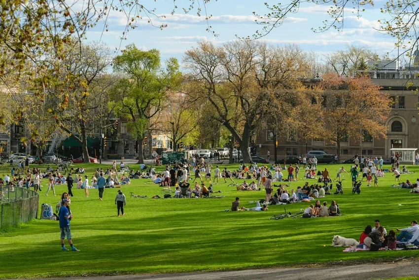 Сколько времени нужно проводить на улице для здоровья психики