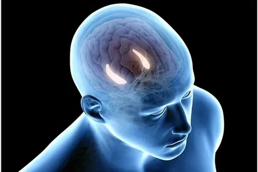 Нейробиология недели: карта мозга, память и заморозка ткани