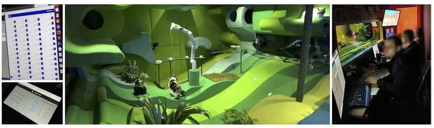 Доверить кошку роботу: каким должен быть идеальный «умный нянь»?