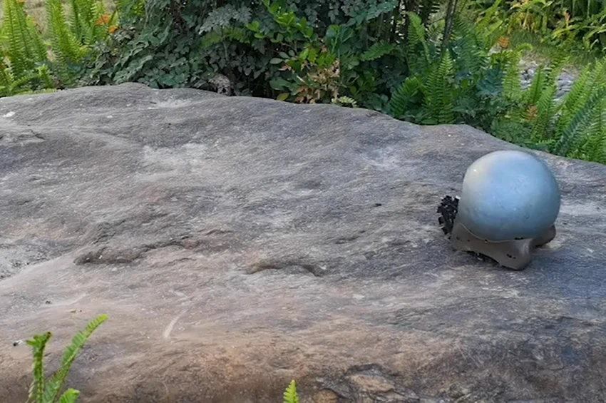 Роботы-улитки на гусеницах строят лестницы и мосты из своих тел