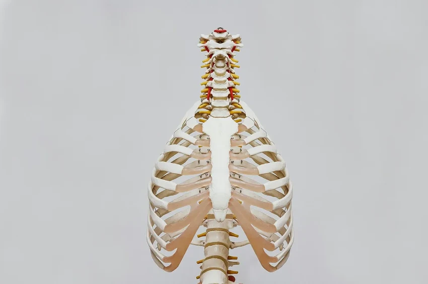 Жир на руках как новый маркер риска переломов позвоночника