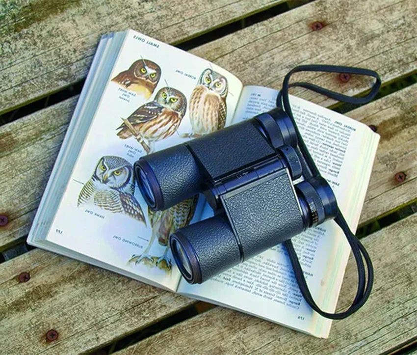 Умный бинокль для орнитологов: как технология распознаёт виды птиц