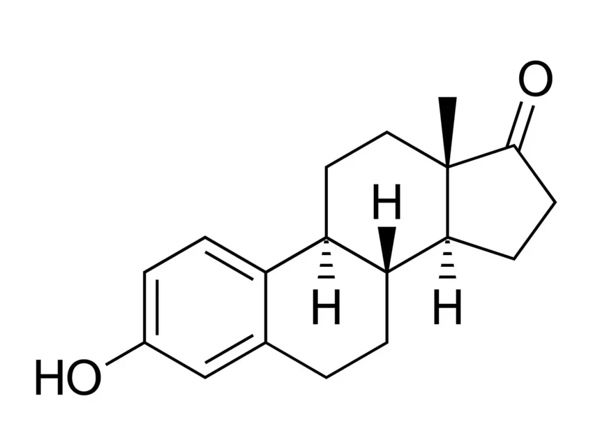 Адольф Бутенандт: учёный, открывший тестостерон и отказавшийся от Нобеля