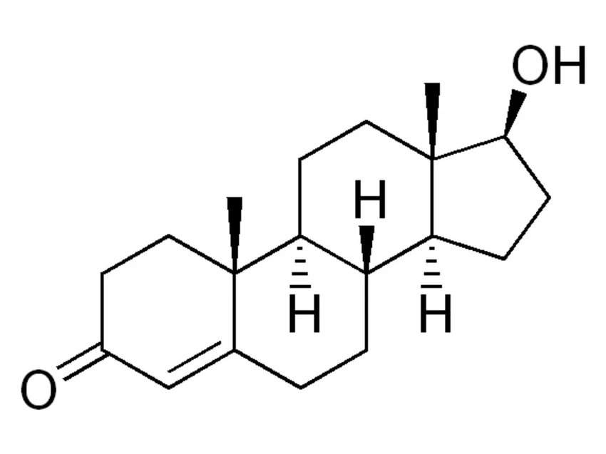 Адольф Бутенандт: учёный, открывший тестостерон и отказавшийся от Нобеля