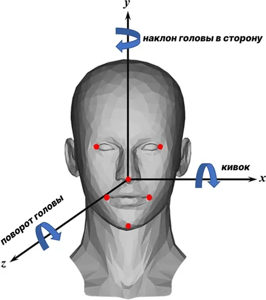 Невербальный признак психопатии у женщин: о чём говорит неподвижная голова