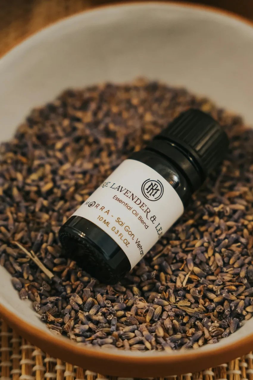 Лаванда: чем полезна кроме аромата? Лечебные свойства и противопоказания