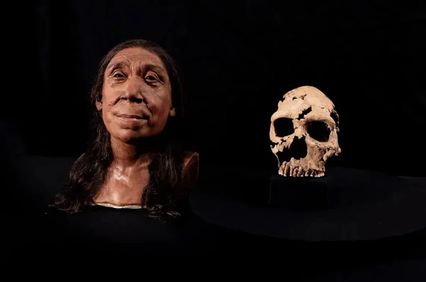 Лицо неандертальской женщины возрастом 75 000 лет: ученые собрали череп из осколков