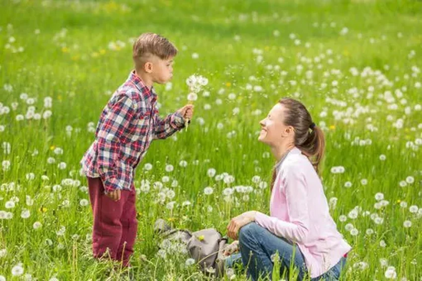 Как навсегда избавиться от поллиноза: метод лечения аллергии на пыльцу