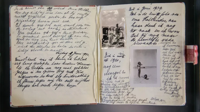 Кто предал Анну Франк: тайна ареста и история дневника, изменившего мир