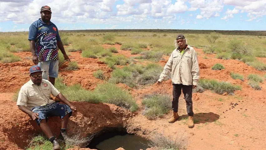 В Австралии нашли редчайшего золотистого сумчатого крота