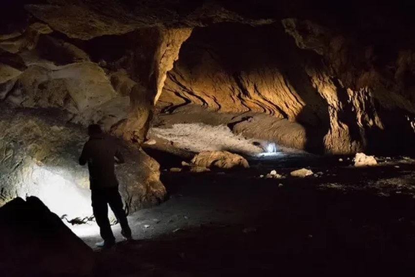 Наши предки: от императора до охотников на слонов. Новости археологии