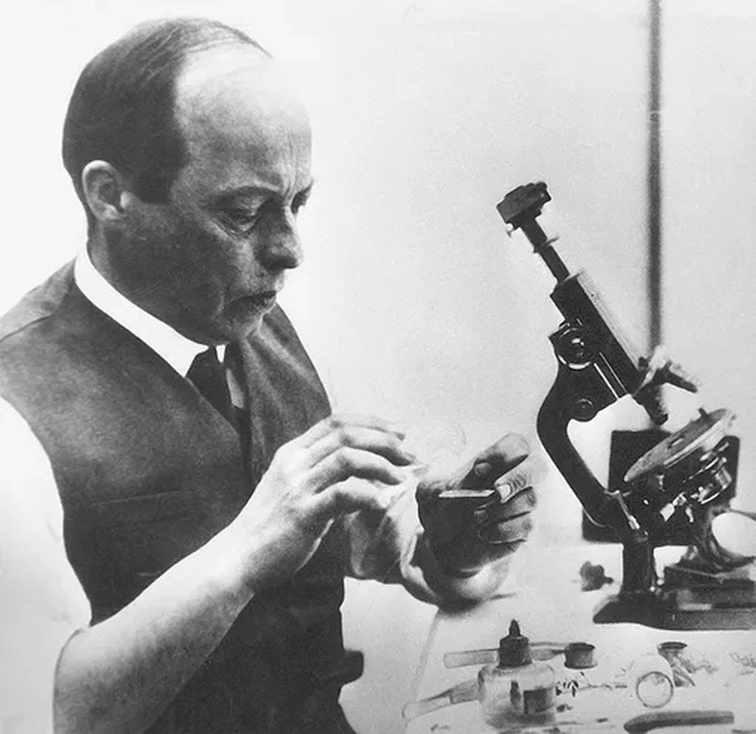 Как жуки стали актёрами: первый в мире режиссёр кукольной анимации