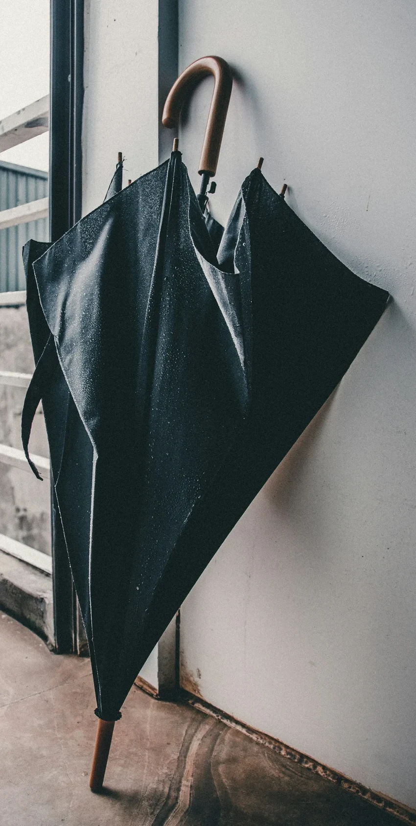 Затхлый запах от зонта: как правильно вымыть и высушить аксессуар