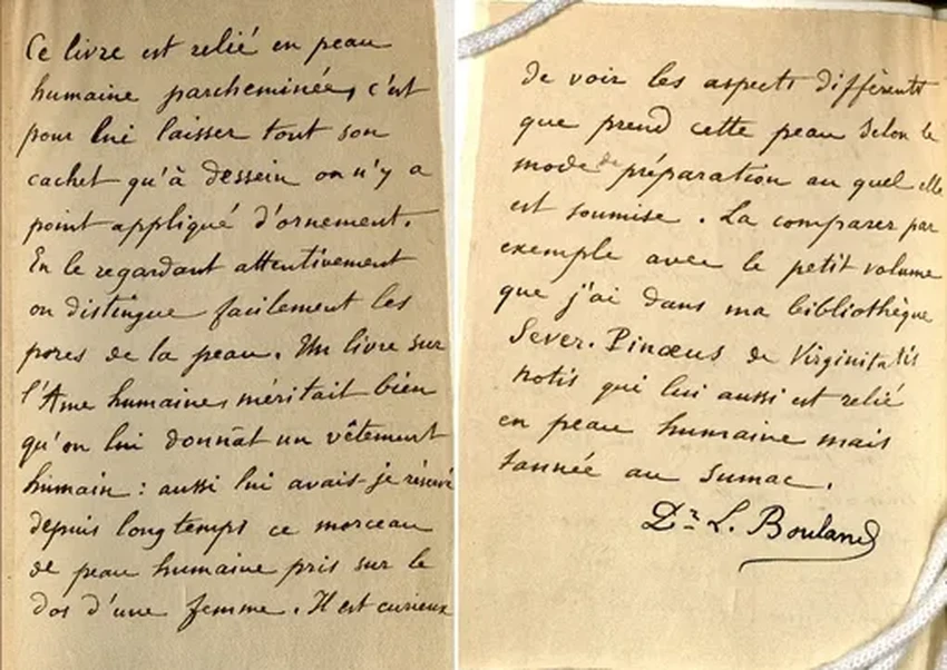 Книга в переплете из человеческой кожи: почему Гарвард изъял жуткий артефакт