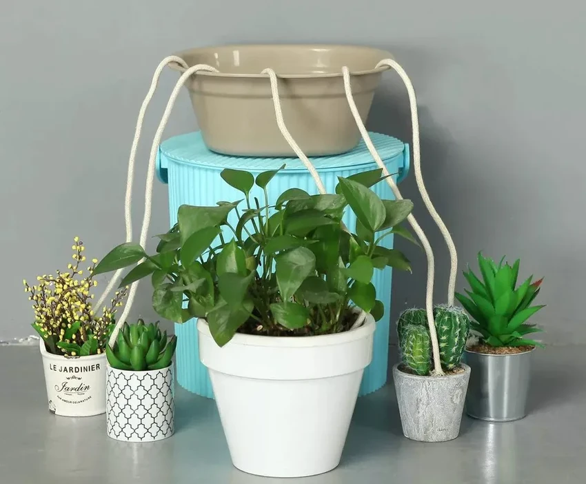 Автополив для цветов своими руками: как уехать в отпуск и не загубить растения