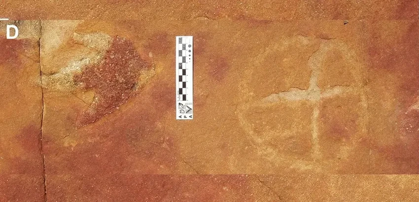 Загадочные петроглифы Бразилии нашли у следов древних динозавров