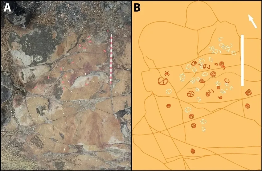 Загадочные петроглифы Бразилии нашли у следов древних динозавров