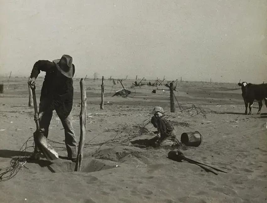 «Пыльный котел» в США: как экологическая катастрофа 1930-х изменила Америку