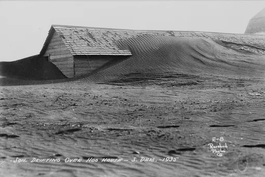 «Пыльный котел» в США: как экологическая катастрофа 1930-х изменила Америку