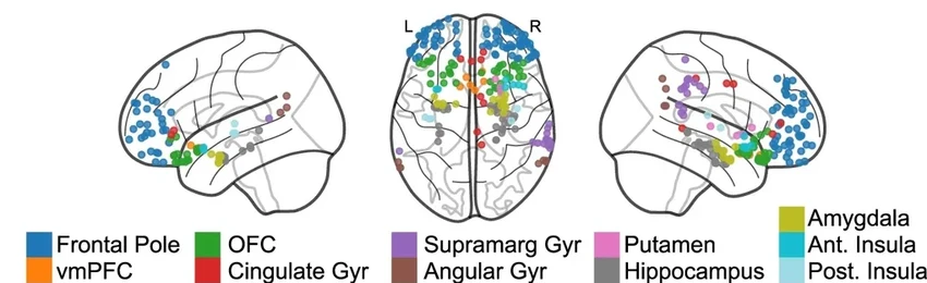 Как мозг взвешивает риск и награду: открытие нейробиологов