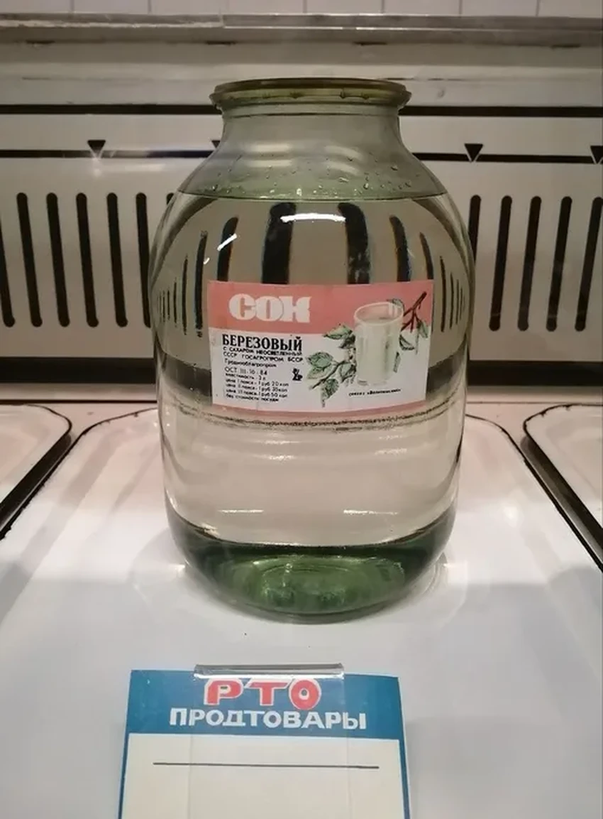 Берёзовый сок: честный гид по сбору и правда о советском напитке