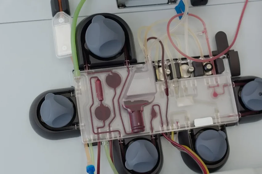 Новое оружие против рака: клетки-киллеры из пуповинной крови показали 80% эффективность