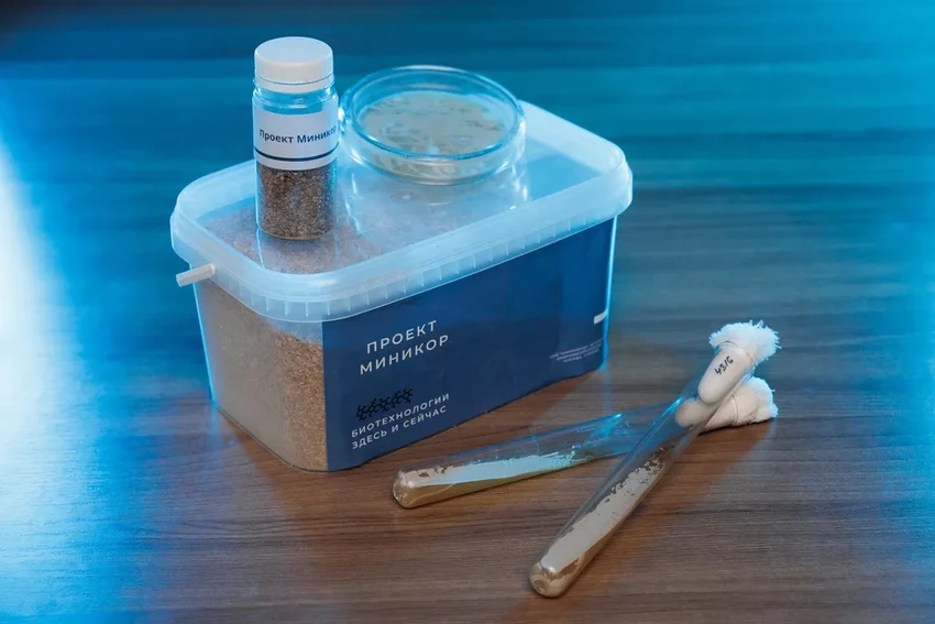 Женщины-новаторы: как создаются технологии, меняющие нашу жизнь