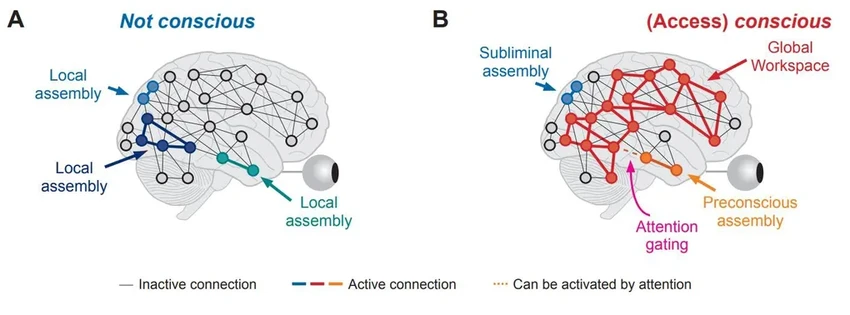 Новая теория сознания: враги или союзники?