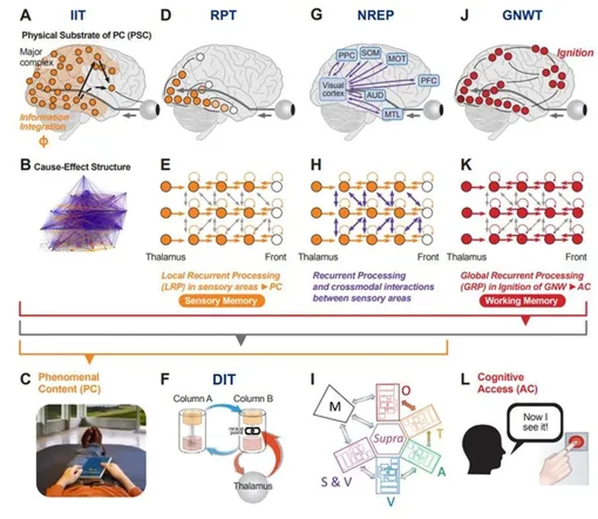 Новая теория сознания: враги или союзники?