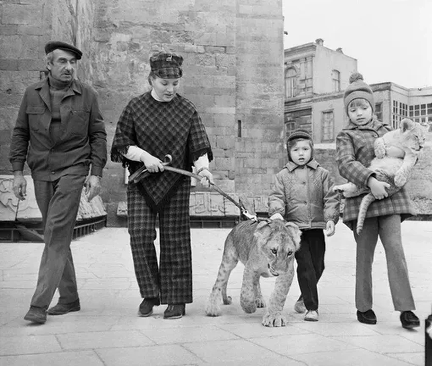 Семья Берберовых и лев Кинг: почему диким животным не место в доме