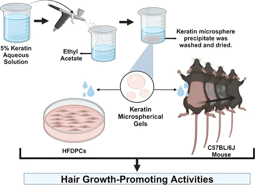 Новый гель на основе кератина ускорил рост волос: результаты исследования