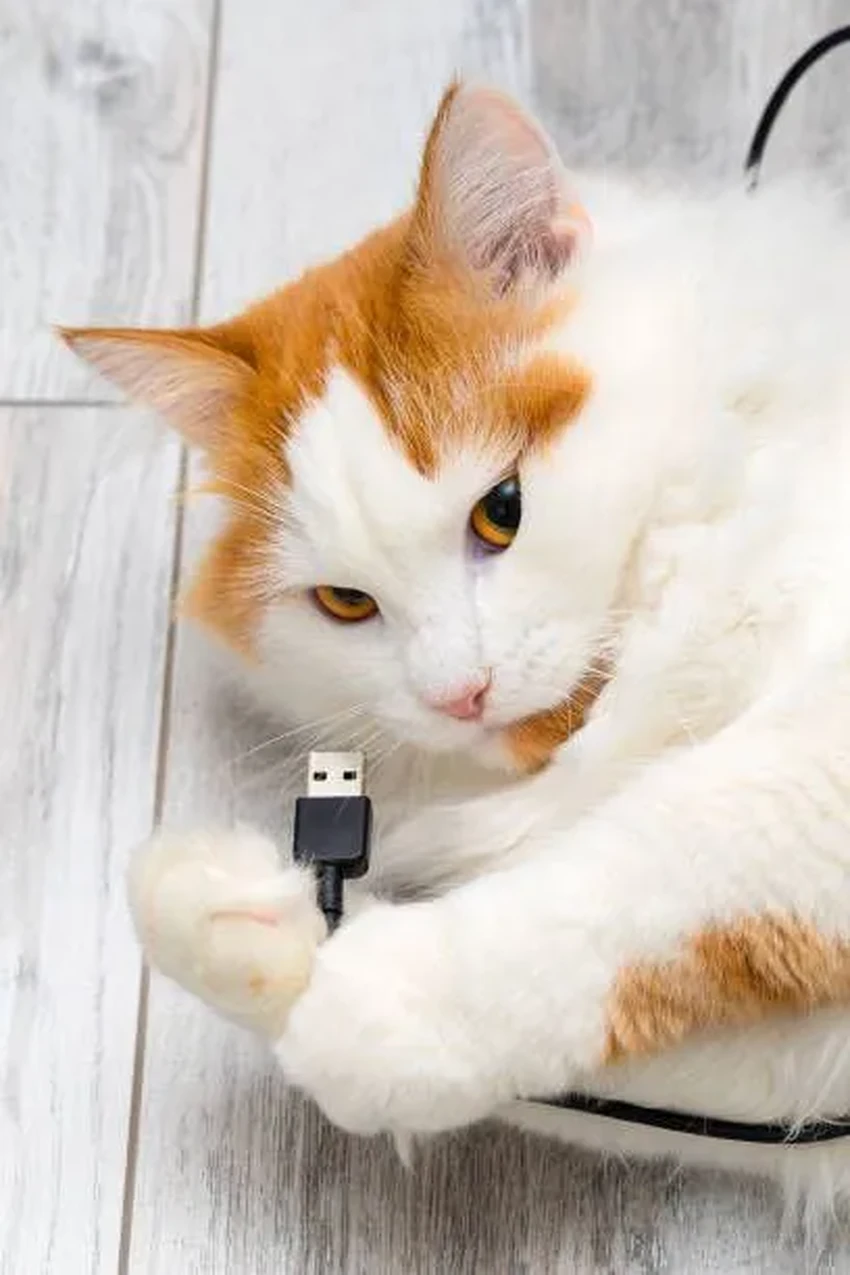 Оставить зарядку в розетке: это опасно или просто страшилка?