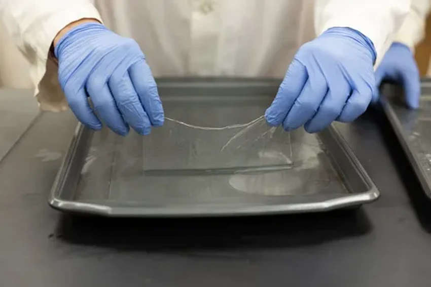 Банановая кожура вместо пластика: создана биоразлагаемая упаковка