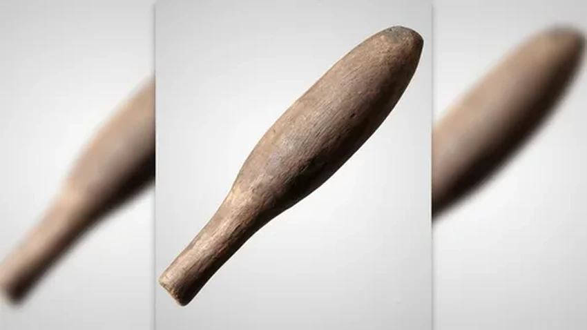 История Виттрупского человека: путь из Скандинавии и жестокая смерть в Дании