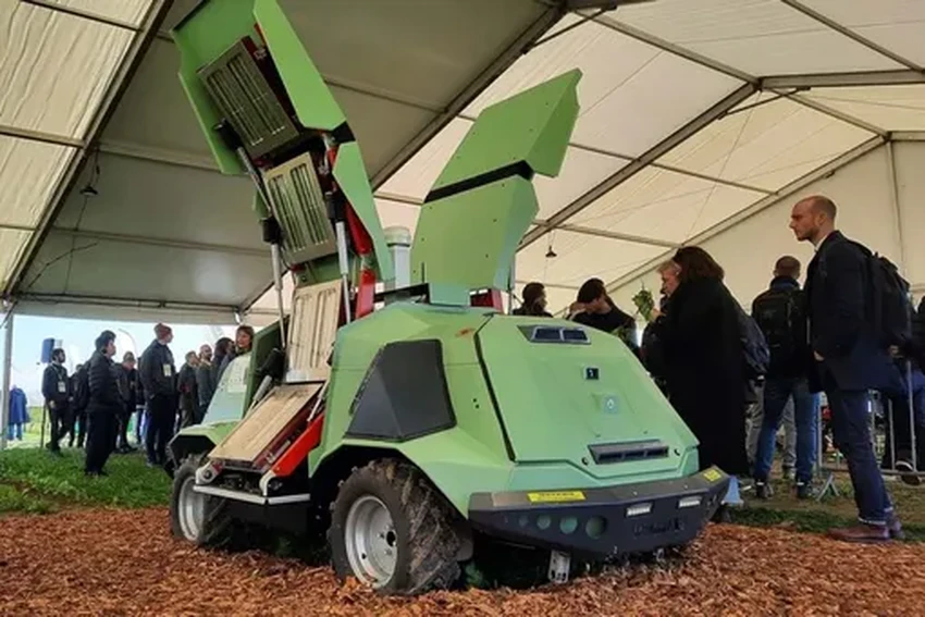 Икар для виноградников: ультрафиолет против плесени