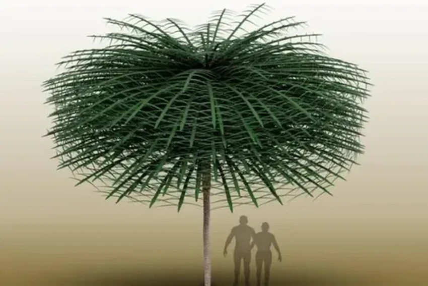 Что творилось на планете 300 млн лет назад: находки недели