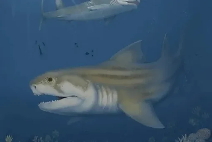 Что творилось на планете 300 млн лет назад: находки недели