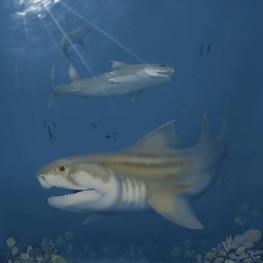 В самой длинной пещере мира нашли два новых вида древних акул