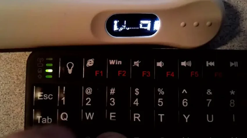 Doom на бактериях: как кишечная палочка стала самым медленным игровым дисплеем