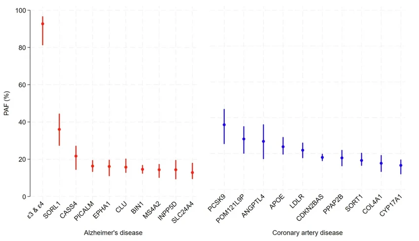 Ген APOE: виновник 90% случаев болезни Альцгеймера? Новые данные