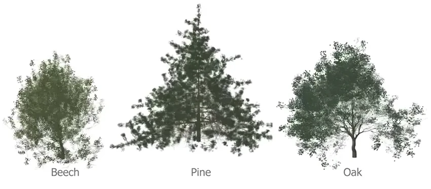 Как моделируют рост деревьев: новая технология создания 3D-леса