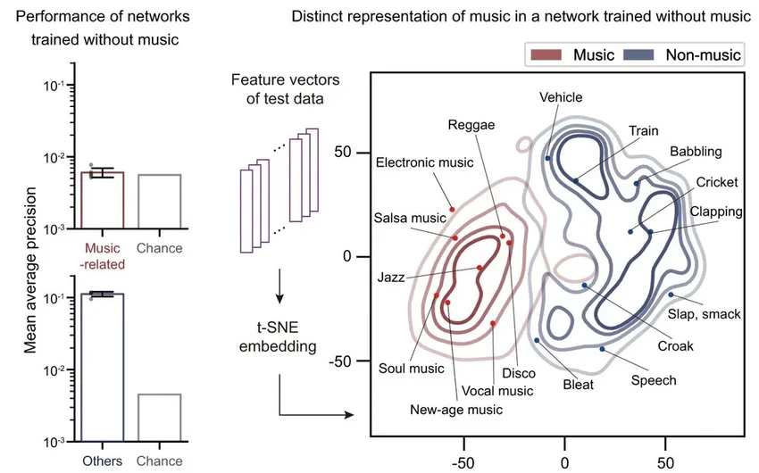 Музыкальный инстинкт: доказано, что мы рождаемся с любовью к мелодиям