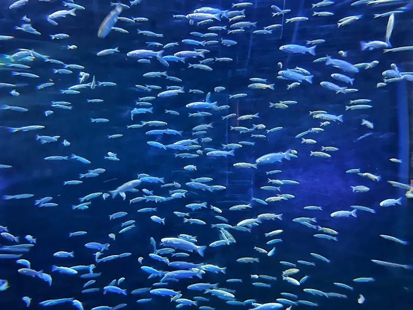 Мудрость толпы: почему коллективные решения бывают точнее экспертных