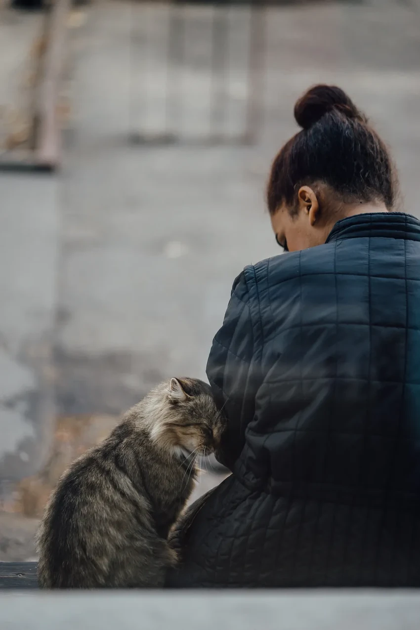 Учёные открыли простой способ подружиться с котом с помощью взгляда