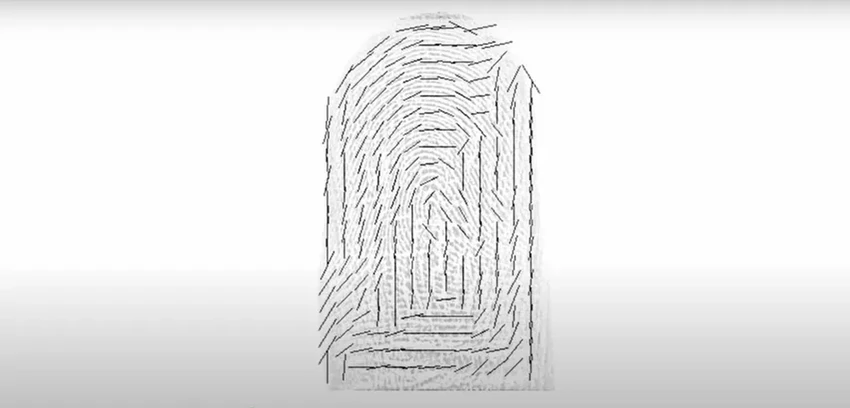 Отпечатки пальцев оказались не уникальными: как алгоритм пошатнул основы криминалистики